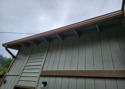 Pro Flow Gutters Project 22